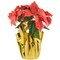 Northlight 14.5" Dark Pink Artificial Christmas Poinsettia with Gold Wrapped Base